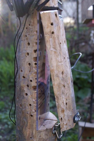  Types Headphones on The Summer Log Will Attract Different Types Of Bees And Wasps From